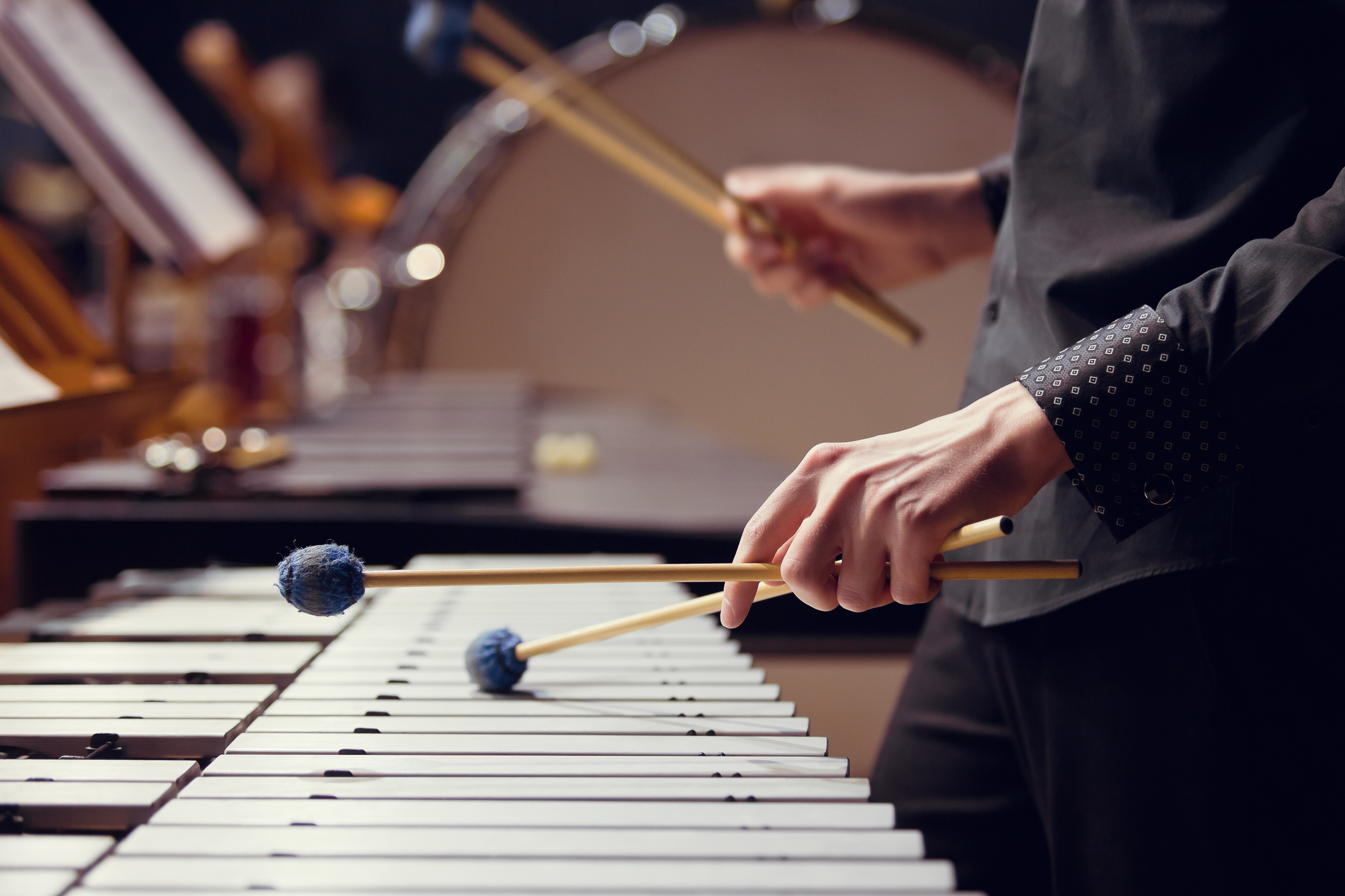Detaliu &middot; vibrafon & mallets